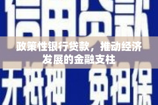 大宁政策性银行贷款，推动经济发展的金融支柱