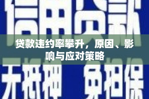 大宁贷款违约率攀升，原因、影响与应对策略