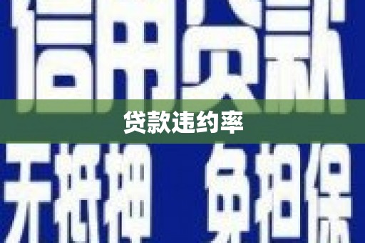 大宁贷款违约率