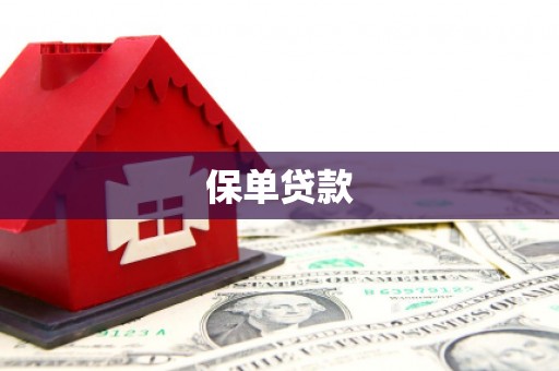 大宁保单贷款