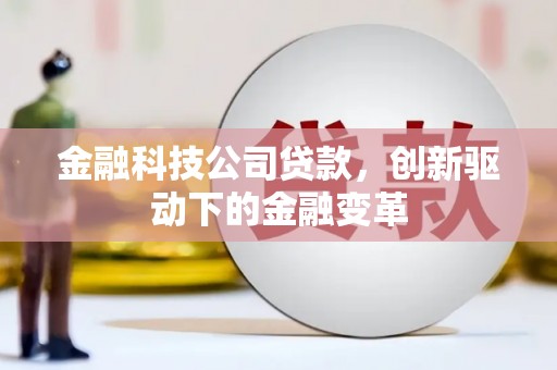 大宁金融科技公司贷款，创新驱动下的金融变革