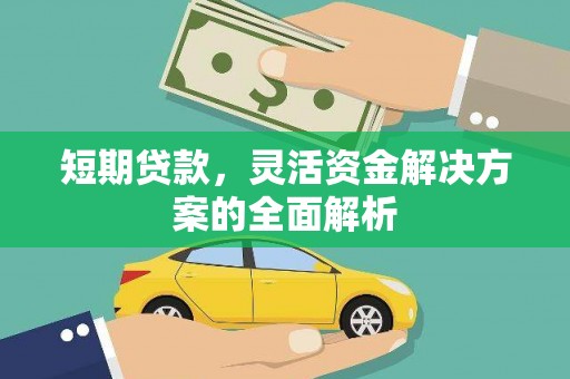 大宁短期贷款，灵活资金解决方案的全面解析