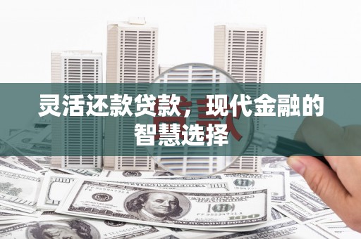 大宁灵活还款贷款，现代金融的智慧选择
