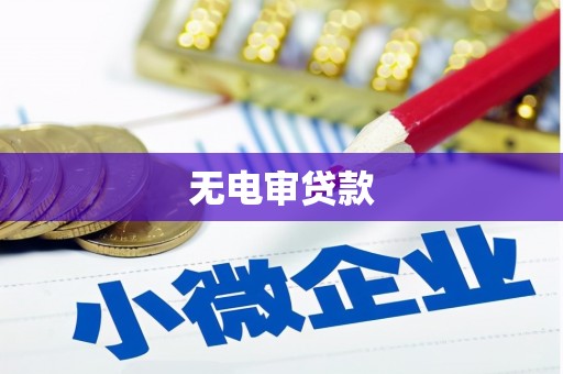 大宁无电审贷款