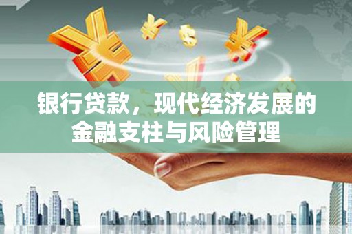大宁银行贷款，现代经济发展的金融支柱与风险管理