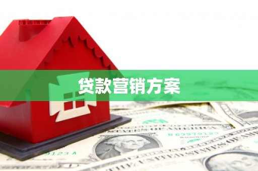 大宁贷款营销方案