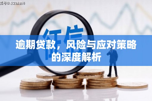 大宁逾期贷款，风险与应对策略的深度解析