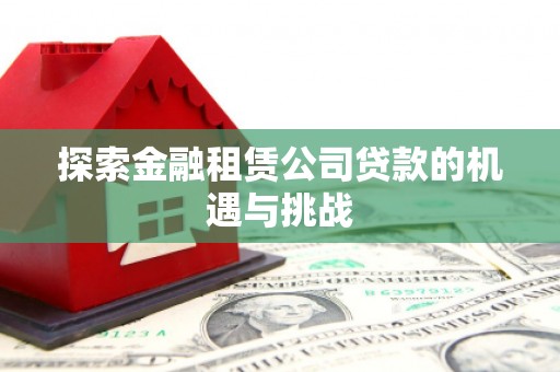 大宁探索金融租赁公司贷款的机遇与挑战