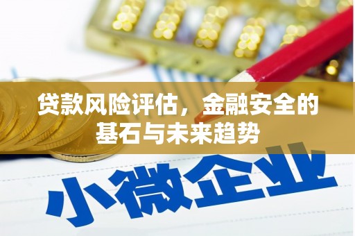 大宁贷款风险评估，金融安全的基石与未来趋势