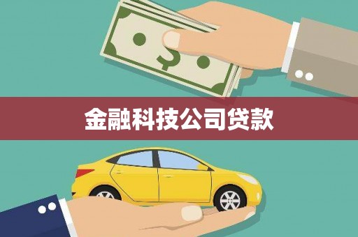 大宁金融科技公司贷款