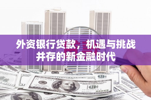 大宁外资银行贷款，机遇与挑战并存的新金融时代