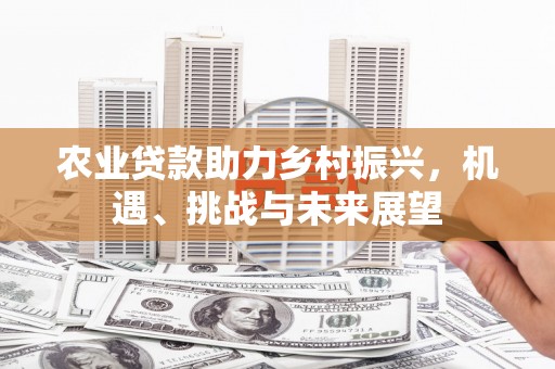 大宁农业贷款助力乡村振兴，机遇、挑战与未来展望