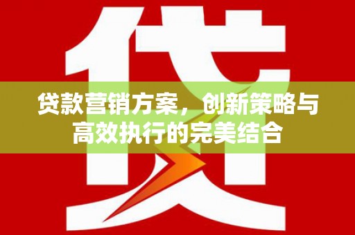 大宁贷款营销方案，创新策略与高效执行的完美结合