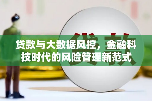 大宁贷款与大数据风控，金融科技时代的风险管理新范式