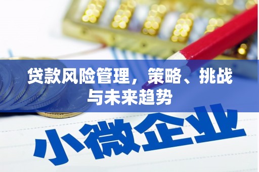 大宁贷款风险管理，策略、挑战与未来趋势