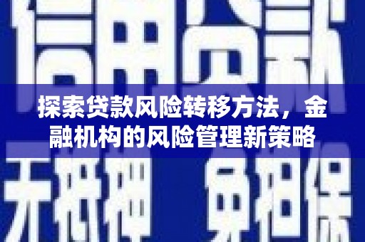 大宁探索贷款风险转移方法，金融机构的风险管理新策略