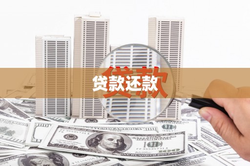 大宁贷款还款