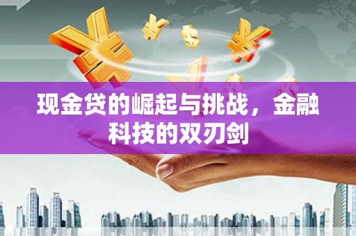 大宁现金贷的崛起与挑战，金融科技的双刃剑