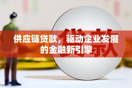 大宁供应链贷款，驱动企业发展的金融新引擎