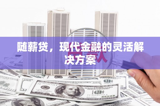 大宁随薪贷，现代金融的灵活解决方案