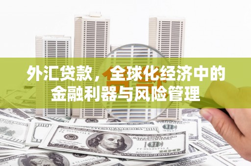 大宁外汇贷款，全球化经济中的金融利器与风险管理