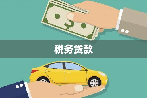 大宁税务贷款