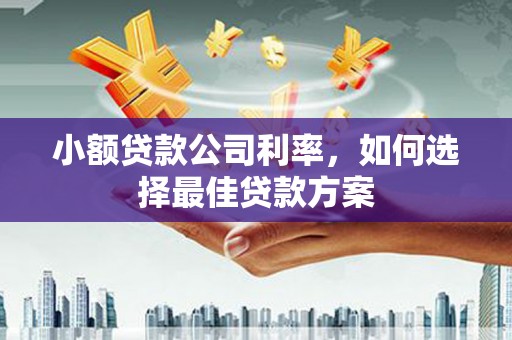 大宁小额贷款公司利率，如何选择最佳贷款方案