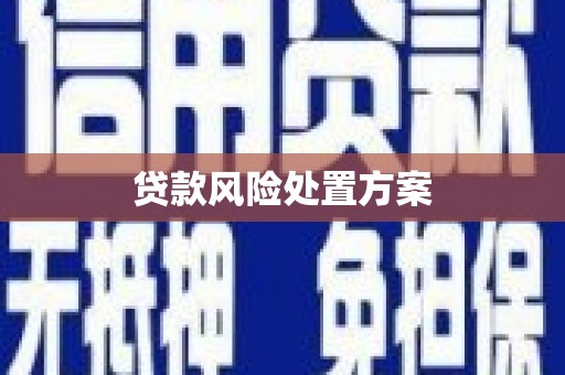 大宁贷款风险处置方案