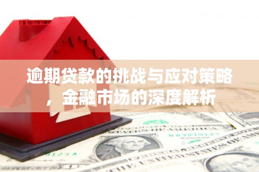 大宁逾期贷款的挑战与应对策略，金融市场的深度解析