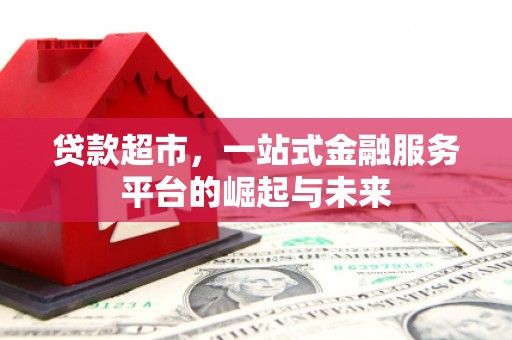 大宁贷款超市，一站式金融服务平台的崛起与未来