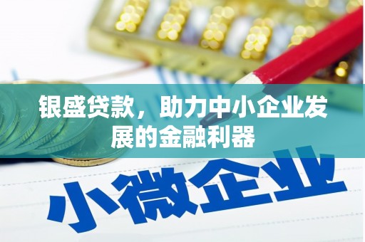 大宁银盛贷款，助力中小企业发展的金融利器