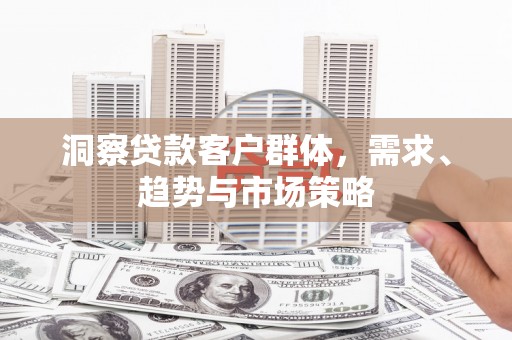 大宁洞察贷款客户群体，需求、趋势与市场策略