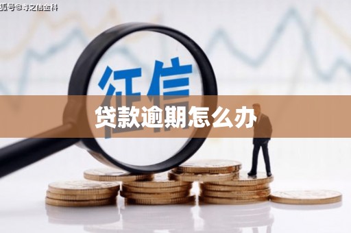 大宁贷款逾期怎么办