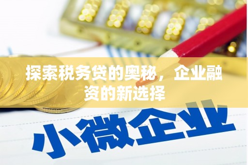 大宁探索税务贷的奥秘，企业融资的新选择