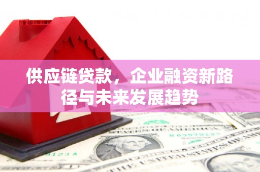 大宁供应链贷款，企业融资新路径与未来发展趋势