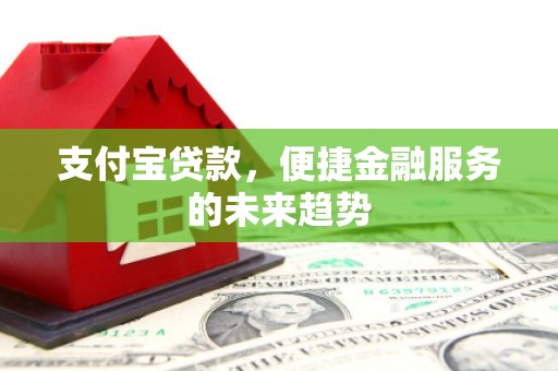 大宁支付宝贷款，便捷金融服务的未来趋势