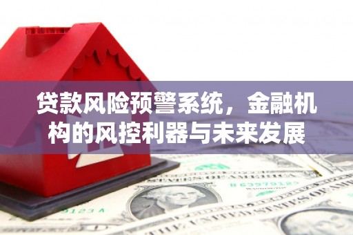 大宁贷款风险预警系统，金融机构的风控利器与未来发展
