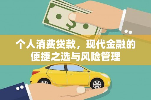 大宁个人消费贷款，现代金融的便捷之选与风险管理