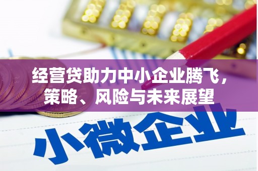 大宁经营贷助力中小企业腾飞，策略、风险与未来展望