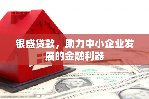 大宁银盛贷款，助力中小企业发展的金融利器