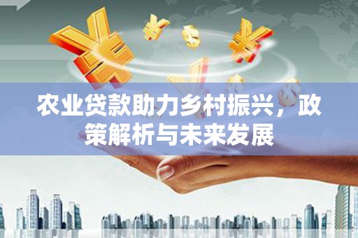 大宁农业贷款助力乡村振兴，政策解析与未来发展