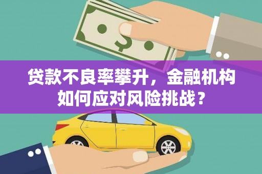 大宁贷款不良率攀升，金融机构如何应对风险挑战？