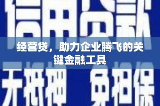 大宁经营贷，助力企业腾飞的关键金融工具