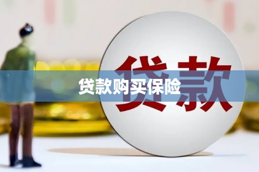 大宁贷款购买保险