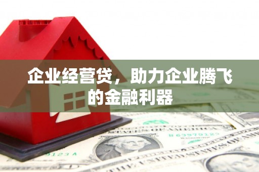 大宁企业经营贷，助力企业腾飞的金融利器