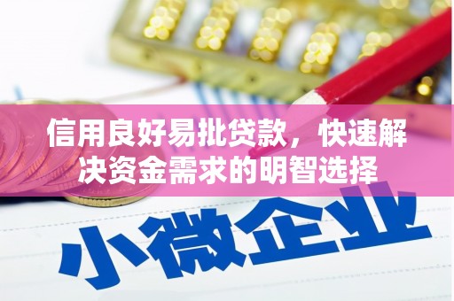 大宁信用良好易批贷款，快速解决资金需求的明智选择