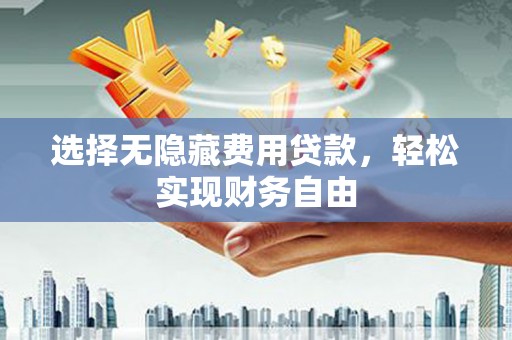 大宁选择无隐藏费用贷款，轻松实现财务自由