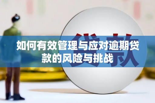 大宁如何有效管理与应对逾期贷款的风险与挑战