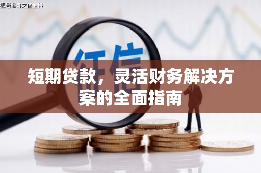 大宁短期贷款，灵活财务解决方案的全面指南