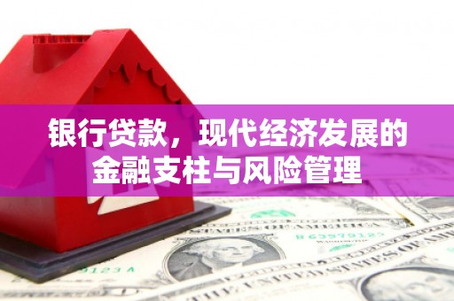 大宁银行贷款，现代经济发展的金融支柱与风险管理
